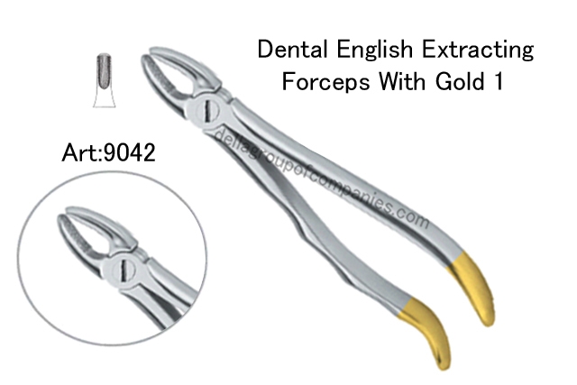 Dental English  Extraction Forceps With Gold Anatomical & finger Handle