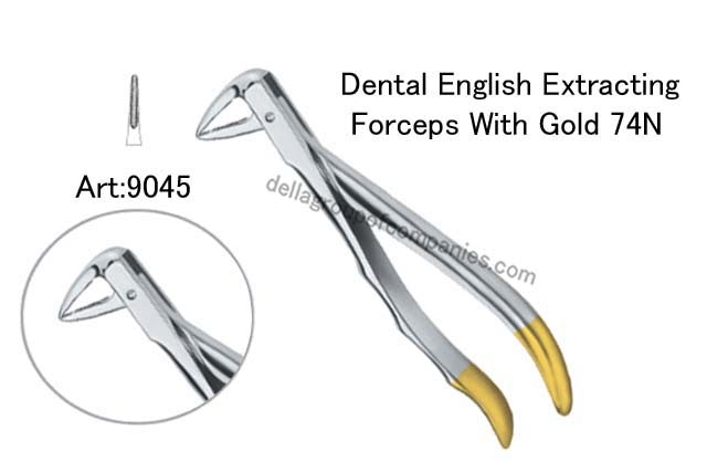 Dental English  Extraction Forceps Gold Anatomical & finger Handle