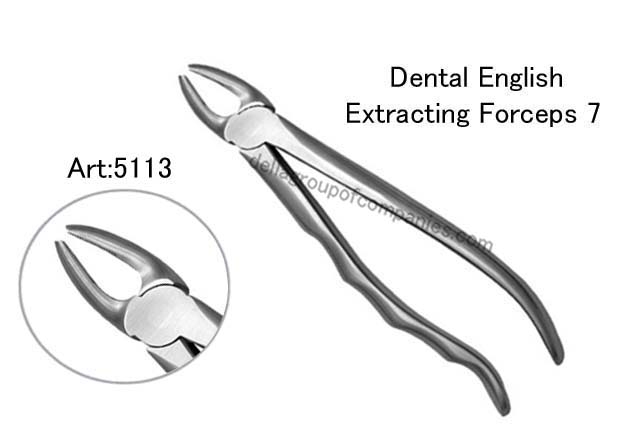 Dental English  Extraction Forceps  Anatomical & finger Handle