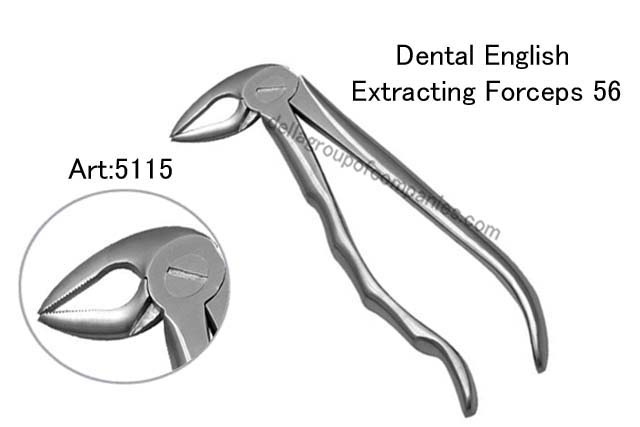 Dental English  Extraction Forceps  Anatomical & finger Handle