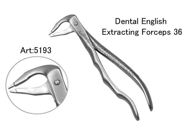 Dental English  Extraction Forceps Gold   Anatomical & finger Handle