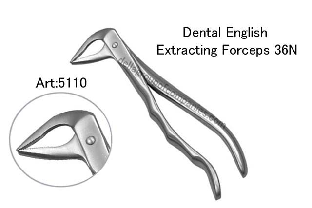 Dental English  Extraction Forceps  Anatomical & finger Handle
