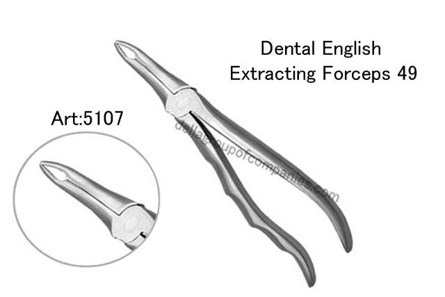 Dental English  Extraction Forceps  Anatomical & finger Handle