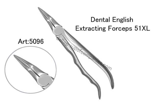 Dental English  Extraction Forceps  Anatomical & finger Handle