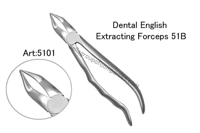 Dental English  Extraction Forceps  Anatomical & finger Handle