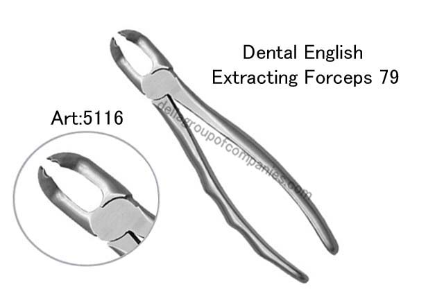 Dental English  Extraction Forceps  Anatomical & finger Handle