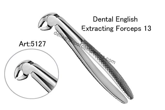 Dental English Extraction Forceps 