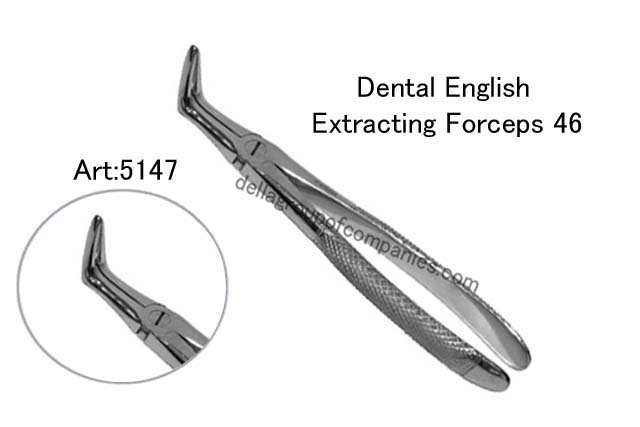Dental English Extraction Forceps 