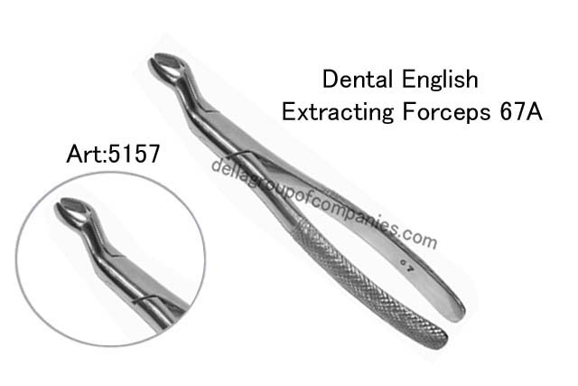 Dental English Extraction Forceps 