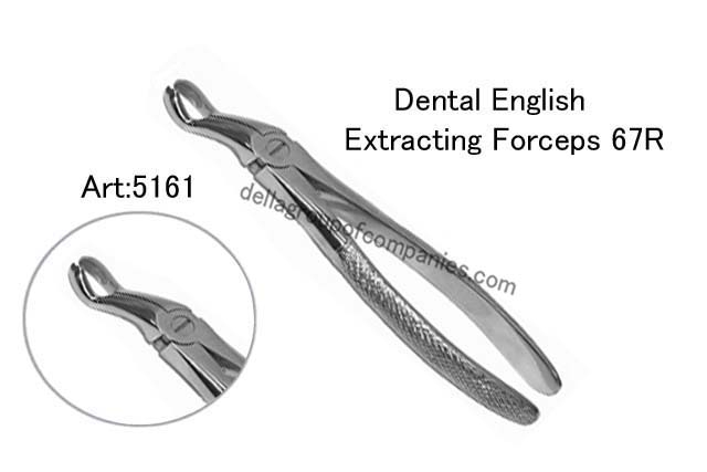 Dental English Extraction Forceps 