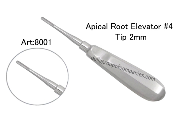 Apical Root Elevator 