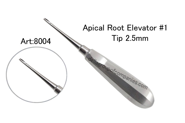 Apical Root Elevator 