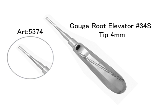 Gouge Root Elevator 