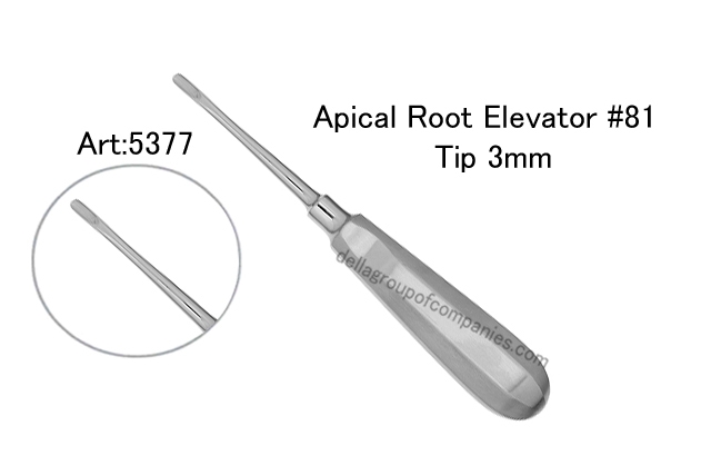 Apical Root Elevator 