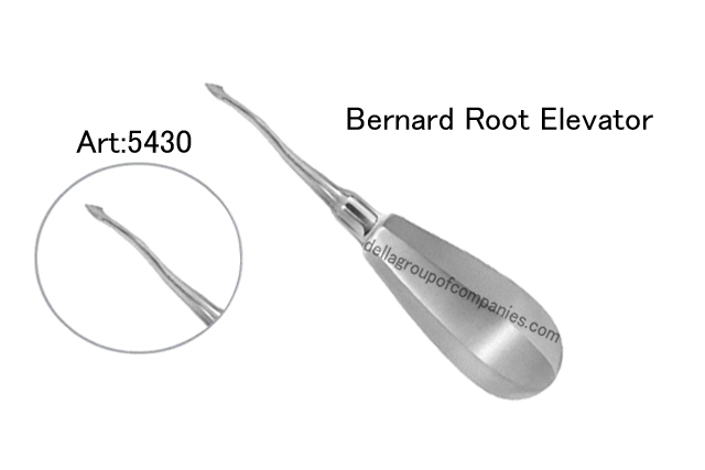 Bernard Root Elevator 