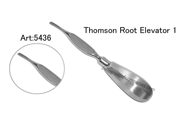 Thomson Root Elevator 