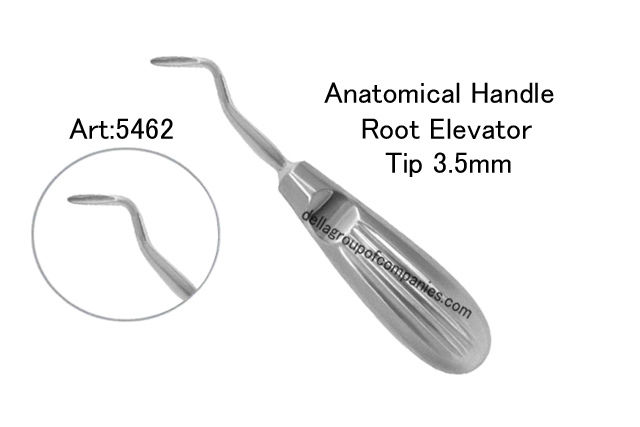 Anatomical Handle Root Elevator