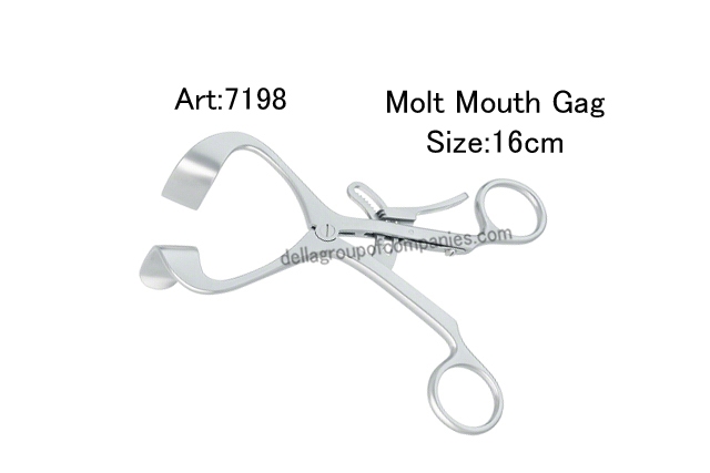 Molt Mouth Gag 